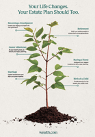 Image of a tree with leaves representing life events during which one's estate plan should be revisited.