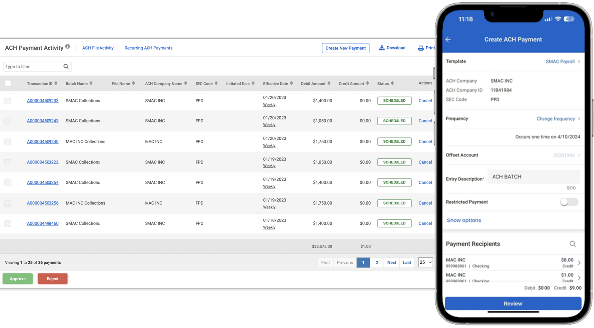 ACH Payment Activity Dashboard