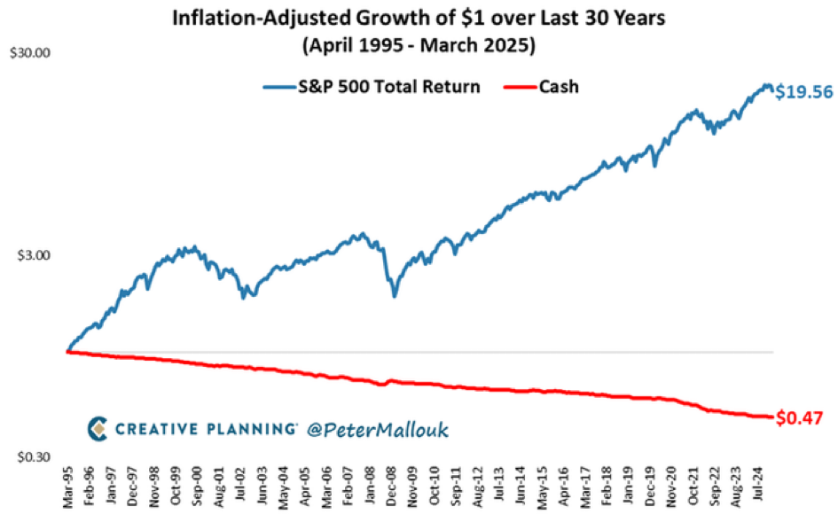 investment in the market is shown in blue and cash is shown in red