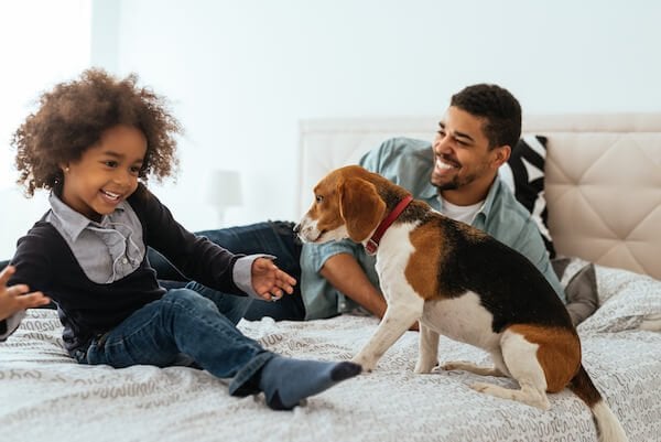 Son and father playing with a dog