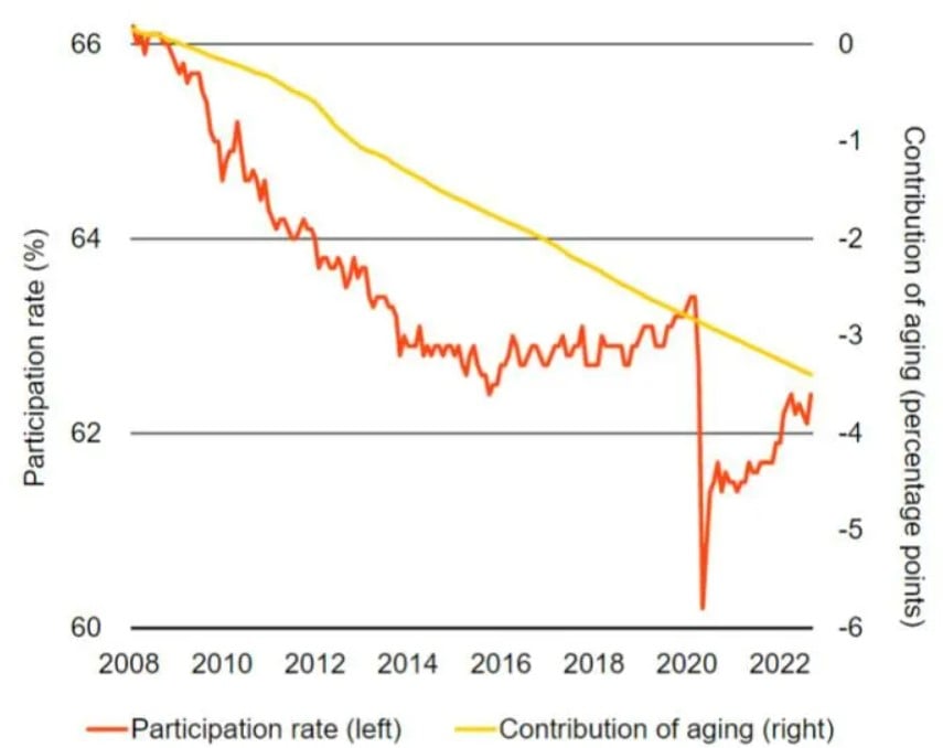 the Participation Rate shown by the falling orange line in the chart dates back to 2008