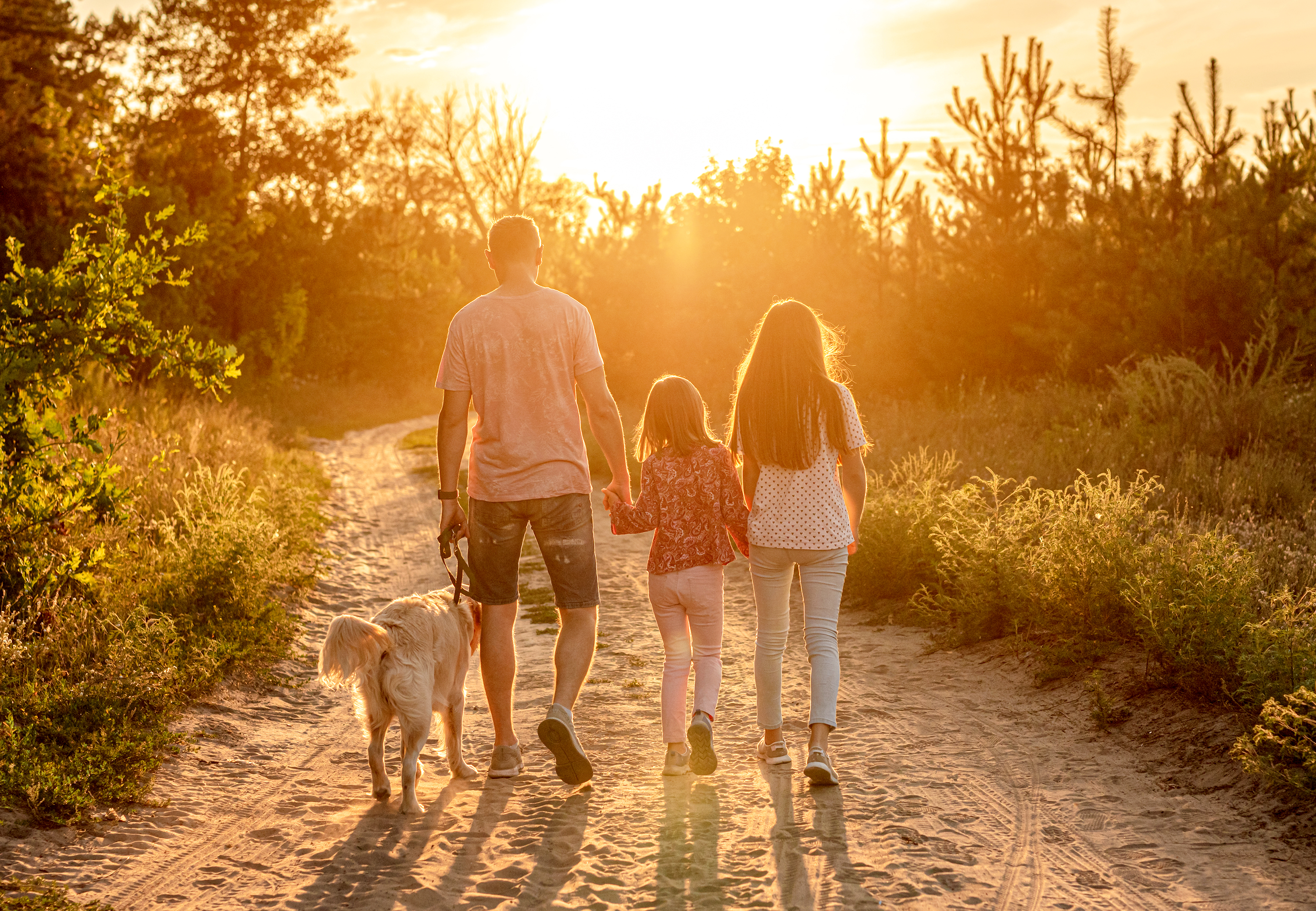 Father, dog and 2 daughters walking into the sunset on a dirt path.