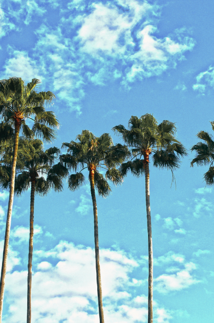 florida