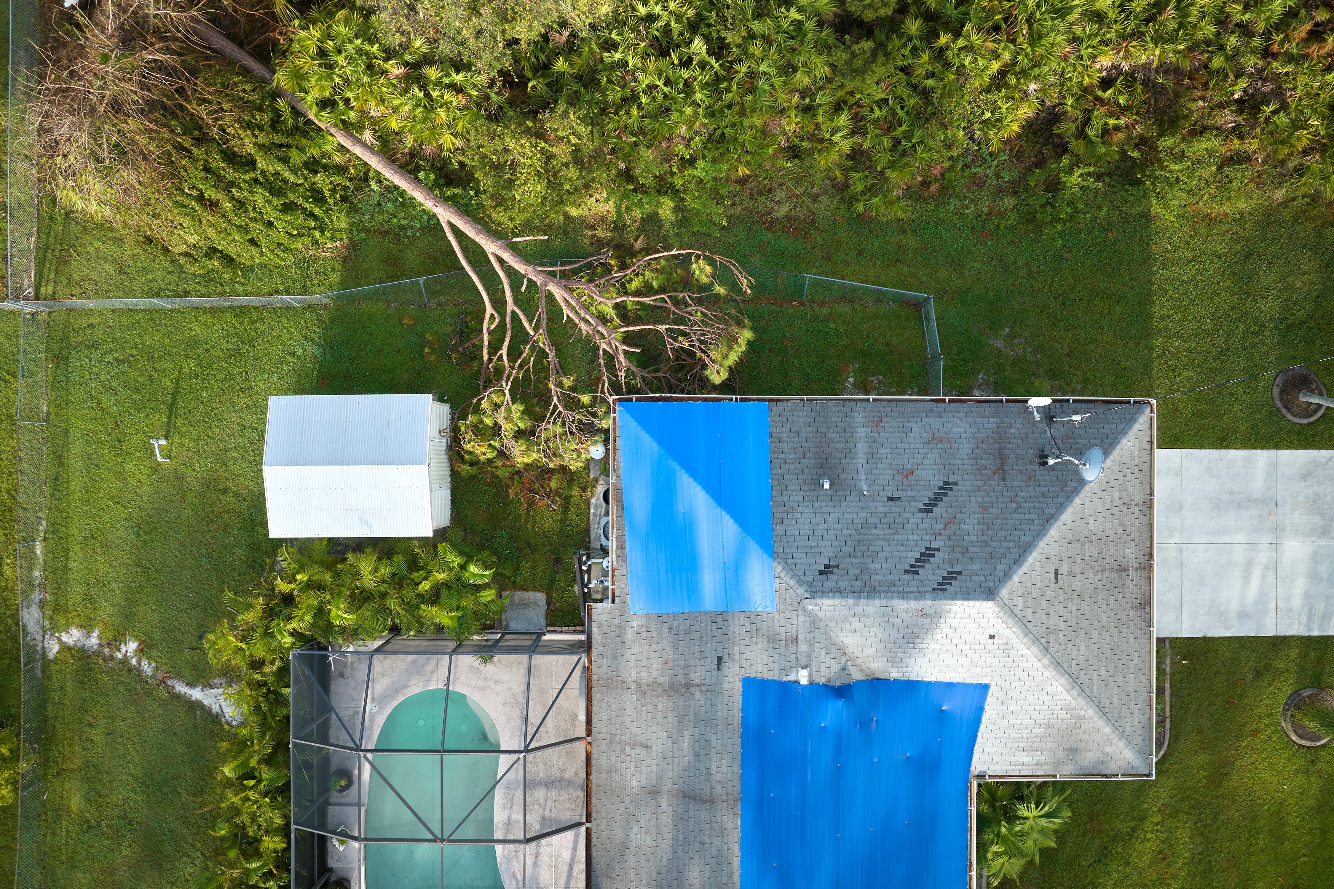 aerial view of house with hurricane damage - blue tarps and missing shingles on roof and tree blown down onto fence.